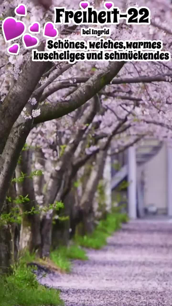 Freiheit-22 Mode Mettmann -- Februar 2024 -- Der Frühling kommt
